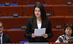 Çankırı Milletvekili Pelin Yılık'ın Raporu Avrupa Konseyi Gündeminde