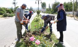 Çerkeş’in Ankara girişine yeşil dokunuş