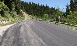 Ilgaz Dağ Yolu'nda asfalt yenileme çalışmaları tamamlandı