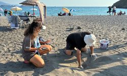Caretta carettaların yaşam nöbeti sürüyor: Yuvalar tek tek korunuyor