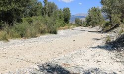 Ilgaz’ın Gök Çay’ı yaz sıcağına dayanamadı