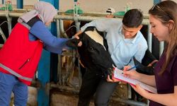 Çankırı’da hayvancılıkta sağlıklı üretim için denetimler sürüyor