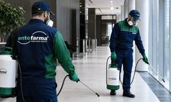 Hızla Yayılan Kan Emici Haşereler ve Çeşitli Ekosistemlerde Profesyonel Pest Kontrolü