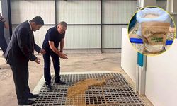 Ilgaz'da Sarıkılçık pirinç fabrikası üretime hazır