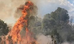 Korgun’da otluk alanda çıkan yangın kontrol altına alındı