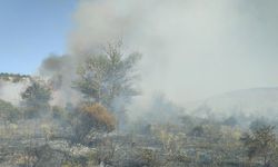 Korgun'da çıkan yangında 15 dönüm arazi zarar gördü