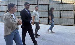 Kurşunlu Kaymakamı Öztürk, Kilitli Parke Üretim Alanını İnceledi