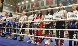 Çankırı’da Savate heyecanı başladı
