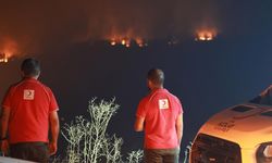 Türk Kızılay, Orman yangınlarında 26 noktada sahada