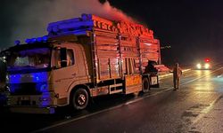 Çankırı'da Kumaş yüklü kamyon alevlere teslim oldu