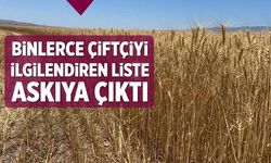 Çankırı’da binlerce çiftçiyi ilgilendiren liste askıya çıktı