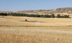 Çankırı'daki çiftçileri ilgilendiriyor: ÇKS başvuruları başladı