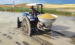 Çankırı'da çeltik üreticisinin beklediği fiyat açıklandı