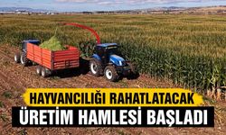 Çankırı’da hayvancılığı rahatlatacak üretim hamlesi başladı