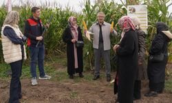 Korgunlu kadın çiftçiler Sakarya’da mısır üretimini yerinde inceledi