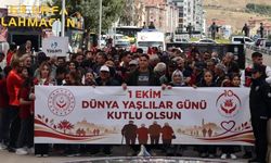 Çankırı’da 1 Ekim Dünya Yaşlılar Günü farkındalık yürüyüşü düzenlendi