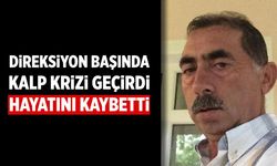 Eldivan’da traktör başında gelen ölüm! Mustafa Akyol hayatını kaybetti