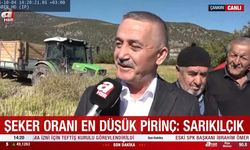 Canlı yayında hasat yapıldı: Sarıkılçık Pirinci Türkiye’ye tanıtıldı