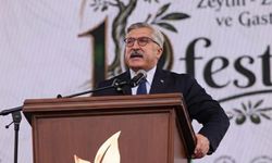Hüseyin Yayman: Hatay dev yatırımlarla bölgenin çekim merkezi oluyor
