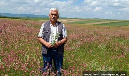 Atkaracalar'da koronadan ilk ölüm!