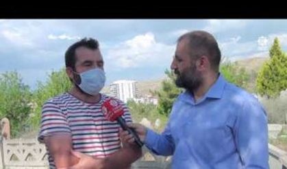 Çankırı'da 5 yavru köpek mezarlıkta ölü bulundu.