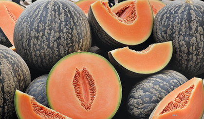 Kavunların Kralı: Çankırı'da Karakavun tezgâhlarda yerini aldı