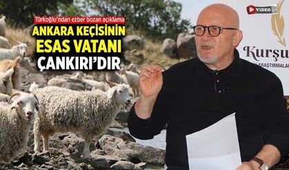 Ankara keçisinin esas vatanı Çankırı’dır