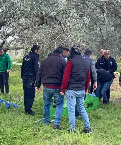 Zeytin bahçesinde cansız bedeni bulundu