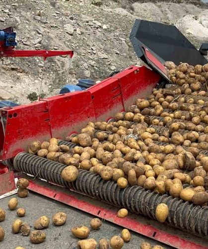 Patatesin toprakla buluşma yolculuğu başladı