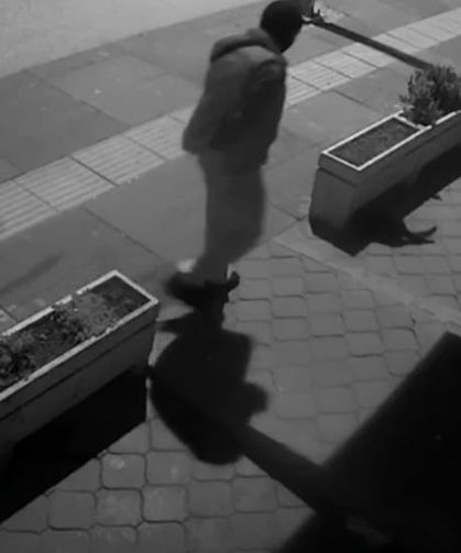 Ankara’daki kedi hırsızlığı kameraya yansıdı