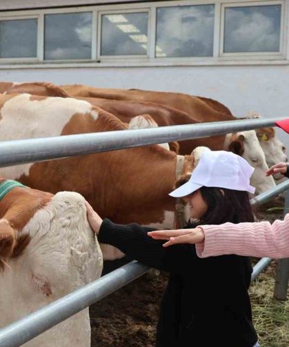 Aileyle üretim yolculuğu: Modern tesislerden tandıra, nesiller buluştu
