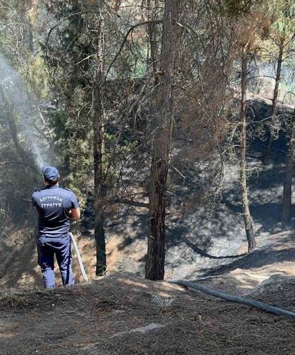Çocukların çakmakla oyunu ormanı yaktı