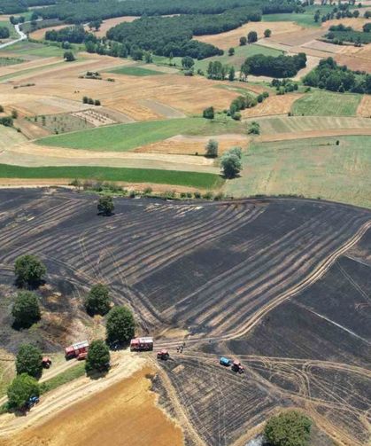 Sakarya’da 150 dönümlük tarım arazisi kül oldu