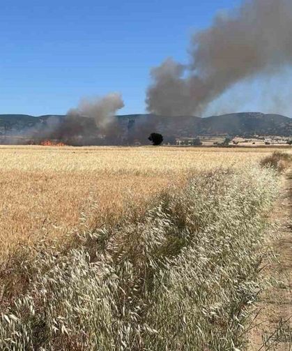 Yozgat’ta 20 dönüm ekili alan kül oldu