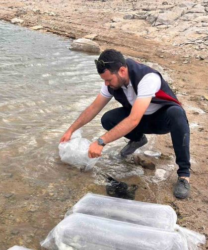 Gölhisar Gölü ve Yapraklı Barajı’na 5 bin yayın ve sazan balığı bırakıldı