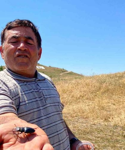 Öldürmenin cezası 557 bin TL, Sivas’ta görüldü