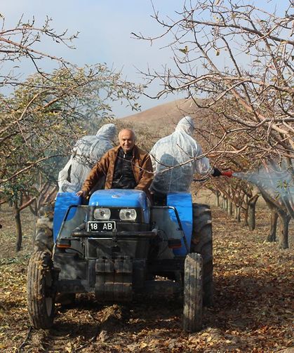 Çankırı Tarım Lisesinde Meyve Ağaçları Kışa Hazırlandı
