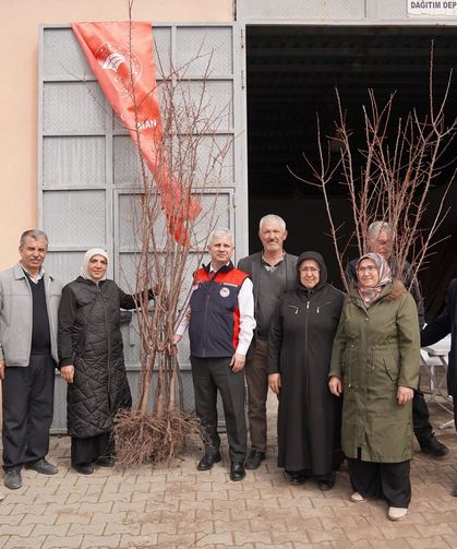 Çankırı’da Kayısı Fidanları Toprakla Buluşuyor