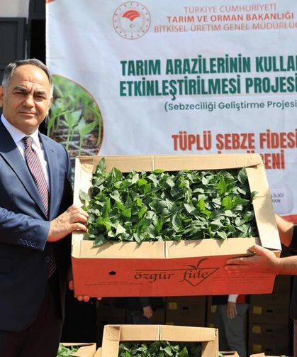 Çankırı’da Çiftçilere 1 Milyon Fide Desteği
