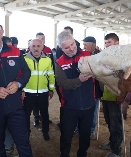 Çankırı Protokolünden Canlı Hayvan Pazarına Ziyaret
