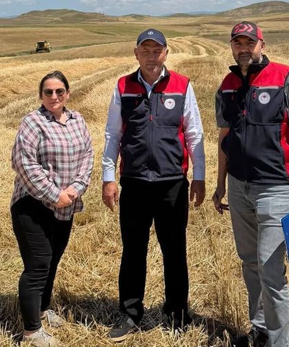 İlk arpa hasadı Kızılırmak’ta yapıldı