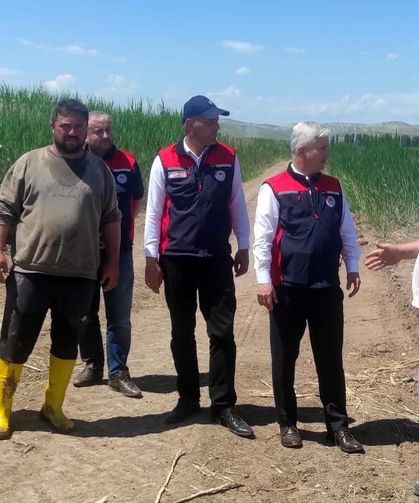 İl Müdürü Candan Kızılırmak'ta Çeltik Tarlalarını İnceledi