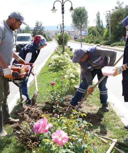 Çerkeş’in Ankara girişine yeşil dokunuş