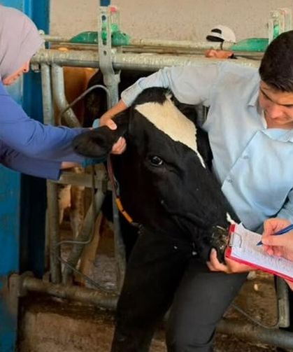 Çankırı’da hayvancılıkta sağlıklı üretim için denetimler sürüyor