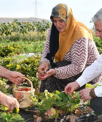 Yapraklı’da kırsal kalkınma meyvelerini veriyor