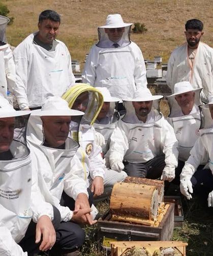 Çankırı’da bal hasadı için arıcılar Çerkeş’te buluştu