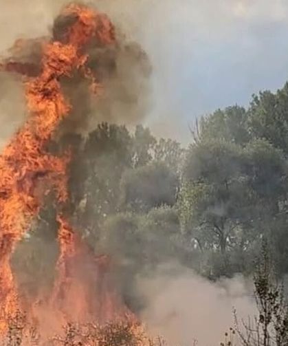 Korgun’da otluk alanda çıkan yangın kontrol altına alındı