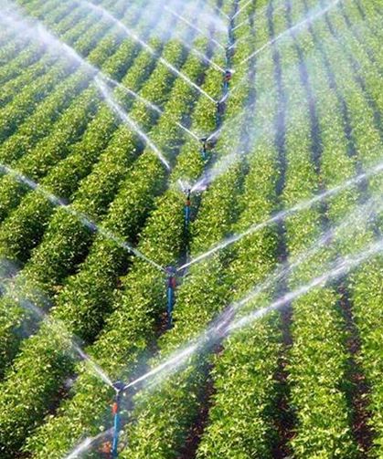 Çankırı’da üreticilere sulama desteği: Hak sahipleri belli oldu