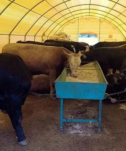 Üreticiye 4,1 milyar TL destek! Ödemeler başladı