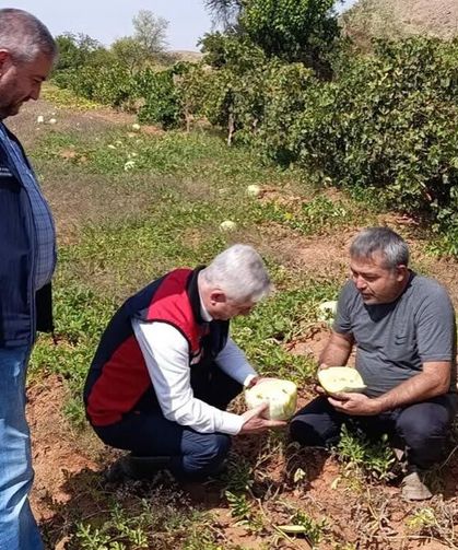 Kızılırmak’ta tarlalar incelendi, üretimin nabzı tutuldu